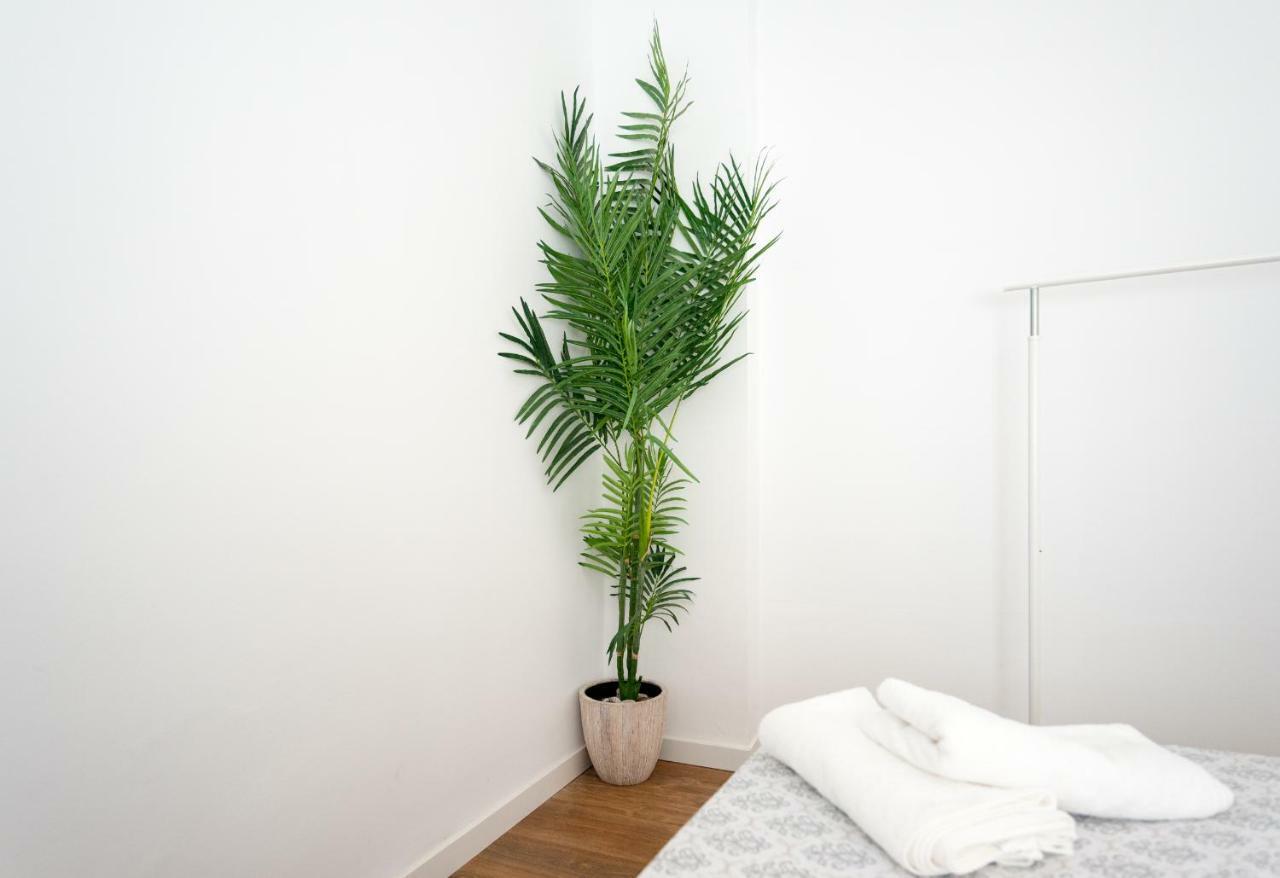 Apartamento Munoz Torrero Apartment Malaga Exterior photo
